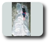 Child Body bag, PVC